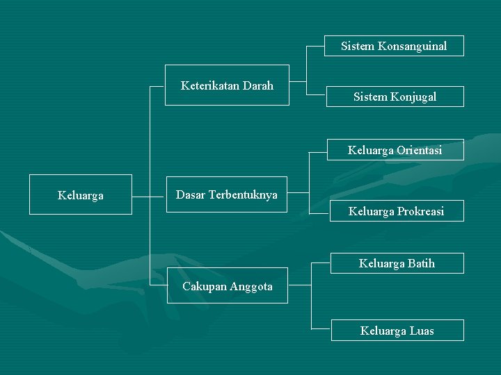 Sistem Konsanguinal Keterikatan Darah Sistem Konjugal Keluarga Orientasi Keluarga Dasar Terbentuknya Keluarga Prokreasi Keluarga