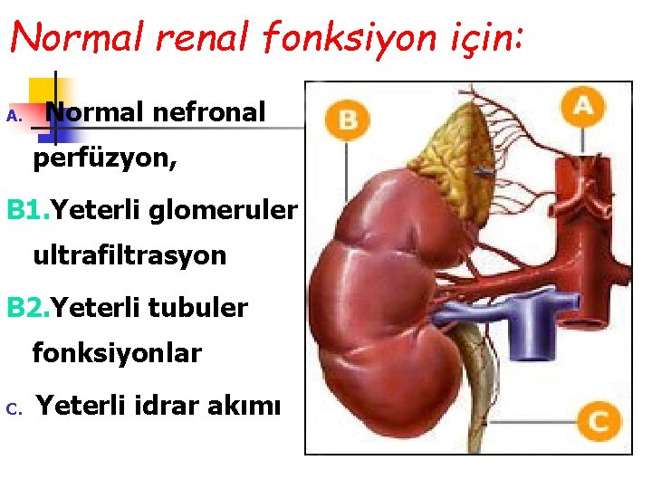 Normal renal fonksiyon için: A. Normal nefronal perfüzyon, B 1. Yeterli glomeruler ultrafiltrasyon B
