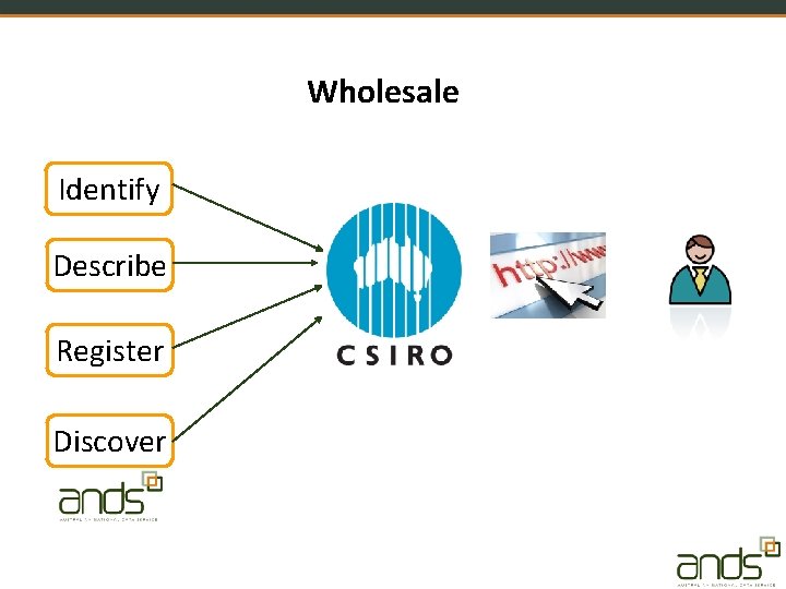 Wholesale Identify Describe Register Discover 
