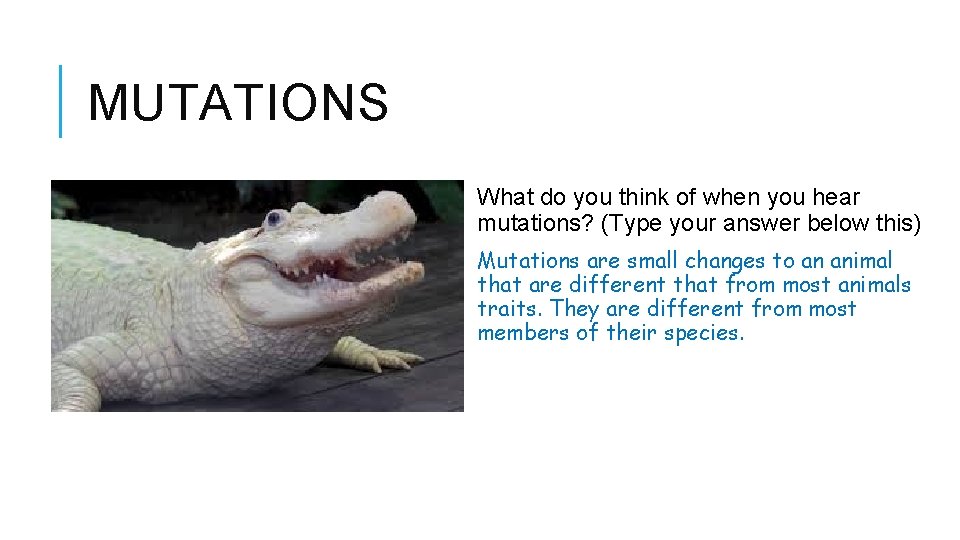MUTATIONS What do you think of when you hear mutations? (Type your answer below MUTATIONS What do you think of when you hear mutations? (Type your answer below