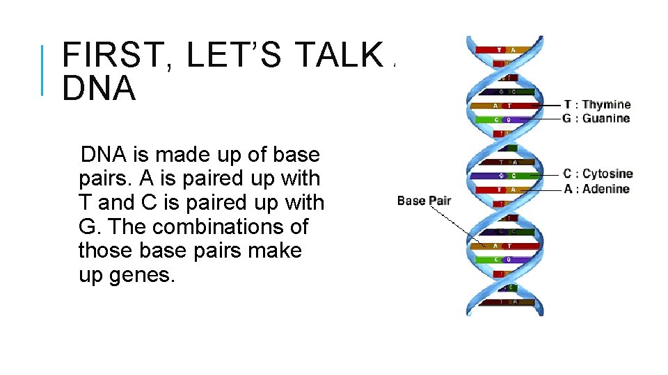 FIRST, LET’S TALK ABOUT DNA is made up of base pairs. A is paired FIRST, LET’S TALK ABOUT DNA is made up of base pairs. A is paired