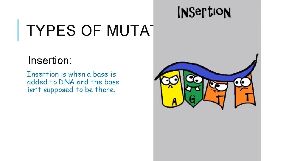 TYPES OF MUTATIONS Insertion: Insertion is when a base is added to DNA and TYPES OF MUTATIONS Insertion: Insertion is when a base is added to DNA and