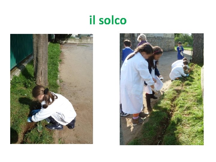 il solco 
