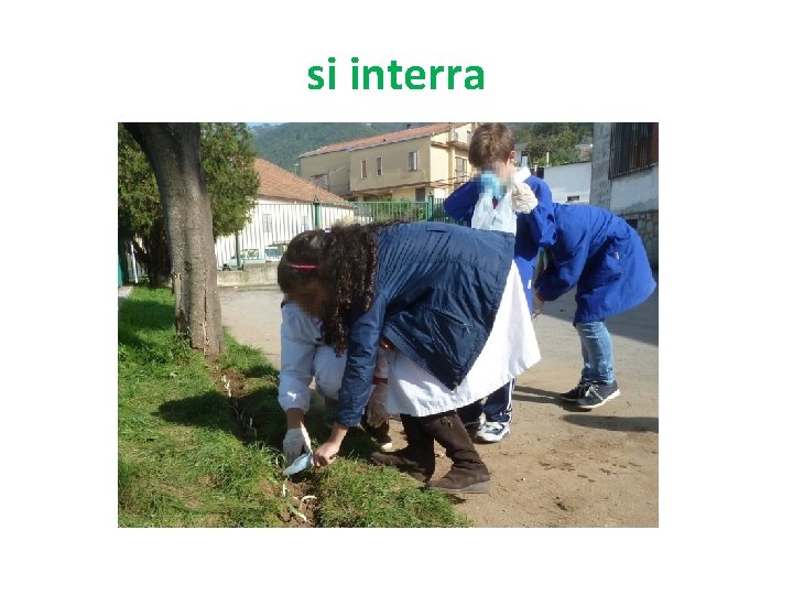 si interra 