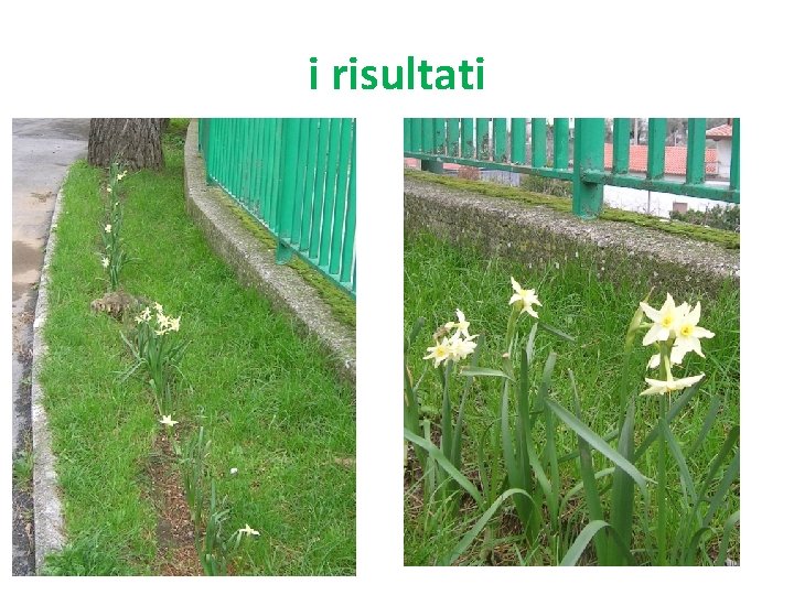 i risultati 