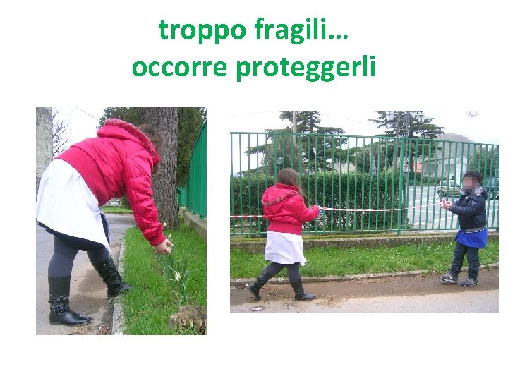 troppo fragili… occorre proteggerli 