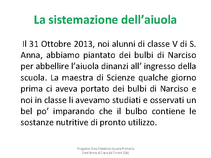 La sistemazione dell’aiuola Il 31 Ottobre 2013, noi alunni di classe V di S.