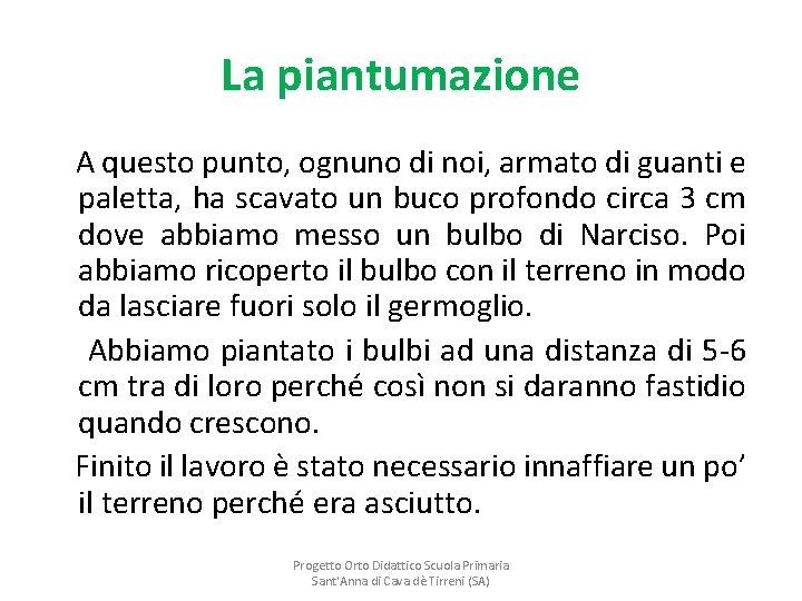 La piantumazione A questo punto, ognuno di noi, armato di guanti e paletta, ha
