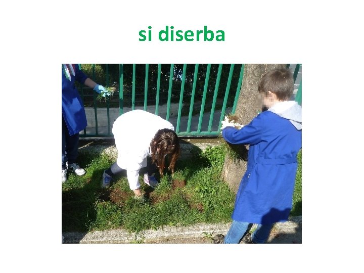 si diserba 