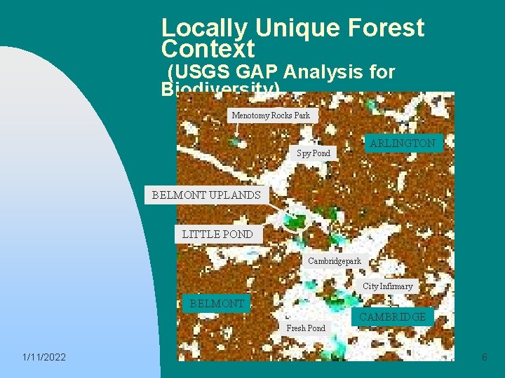 Locally Unique Forest Context (USGS GAP Analysis for Biodiversity) Menotomy Rocks Park ARLINGTON Spy