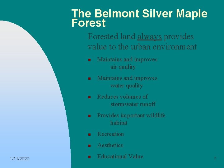 The Belmont Silver Maple Forested land always provides value to the urban environment n