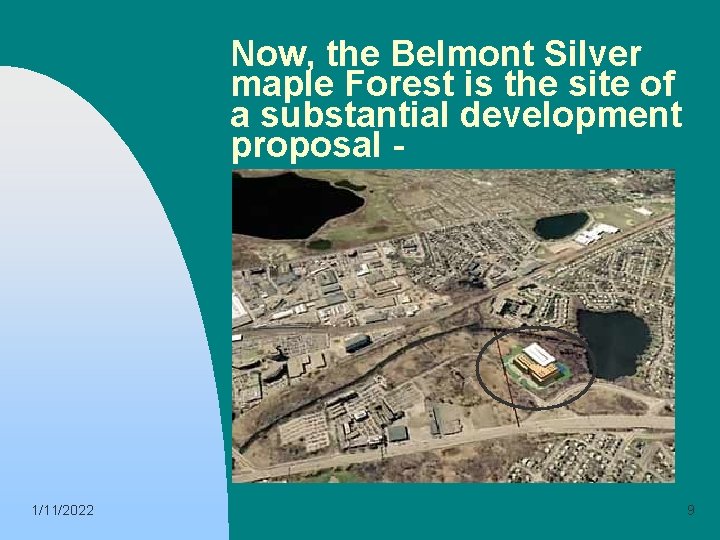 Now, the Belmont Silver maple Forest is the site of a substantial development proposal