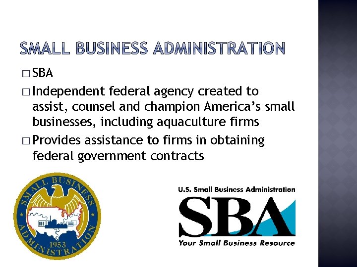 � SBA � Independent federal agency created to assist, counsel and champion America’s small