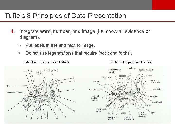 Tufte’s 8 Principles of Data Presentation 4. Integrate word, number, and image (i. e.