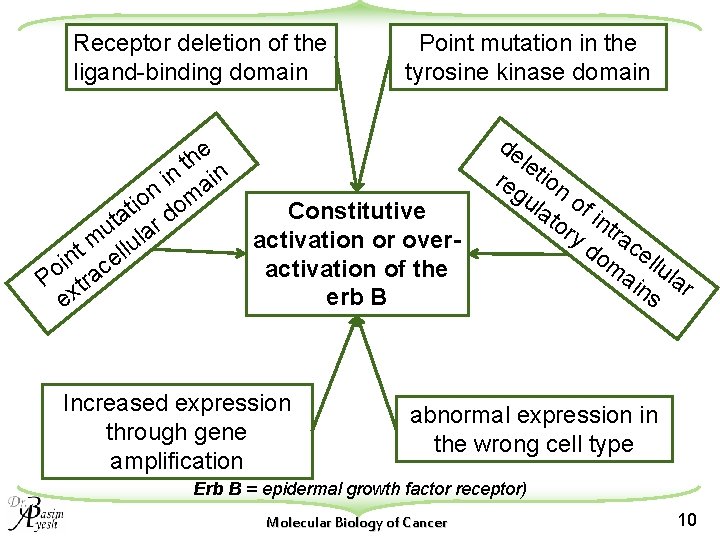 Receptor deletion of the ligand-binding domain Point mutation in the tyrosine kinase domain e
