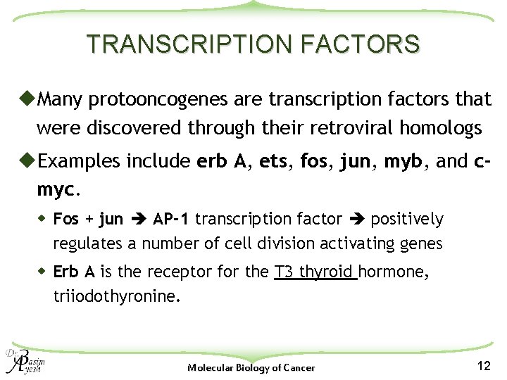 TRANSCRIPTION FACTORS u. Many protooncogenes are transcription factors that were discovered through their retroviral