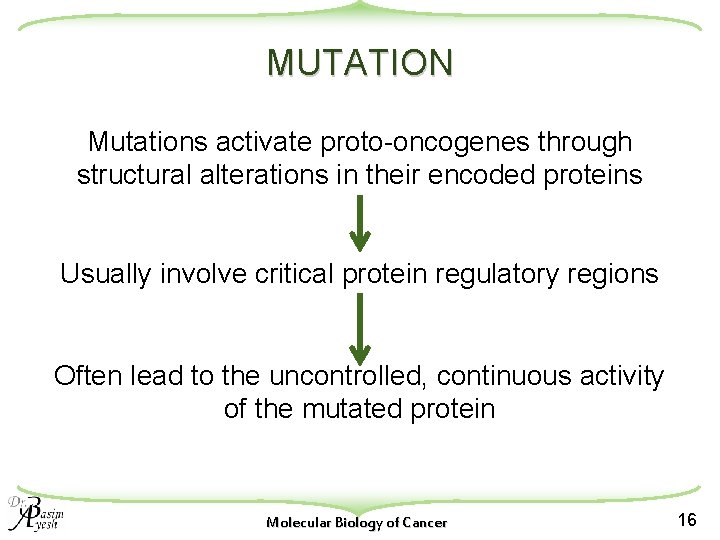 MUTATION Mutations activate proto-oncogenes through structural alterations in their encoded proteins Usually involve critical