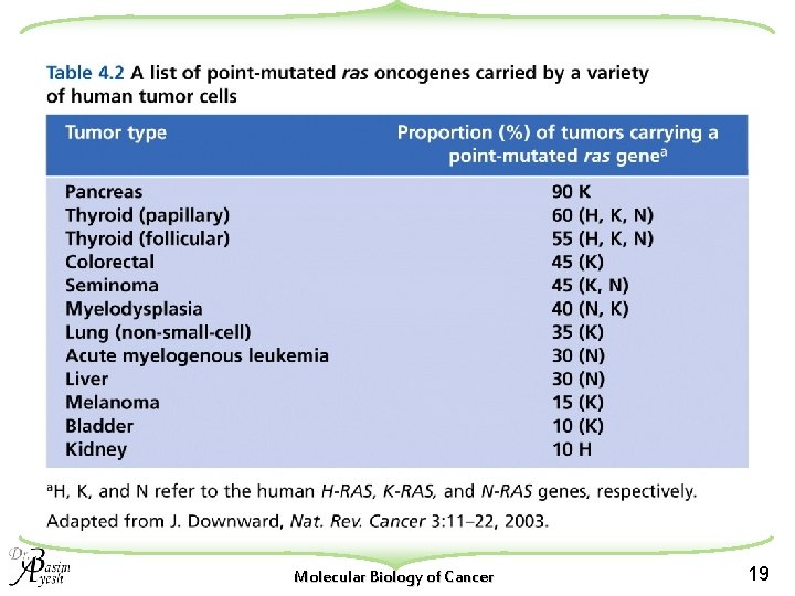 Molecular Biology of Cancer 19 