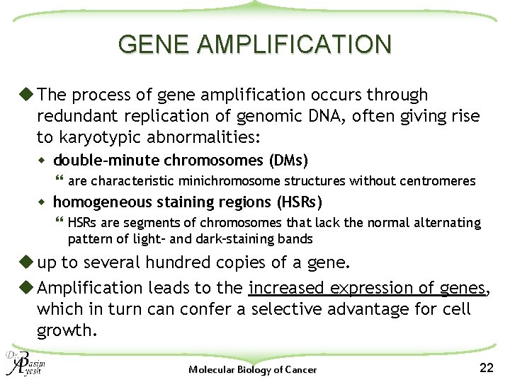 GENE AMPLIFICATION u The process of gene amplification occurs through redundant replication of genomic