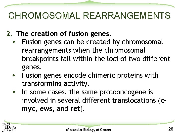 CHROMOSOMAL REARRANGEMENTS 2. The creation of fusion genes. w Fusion genes can be created