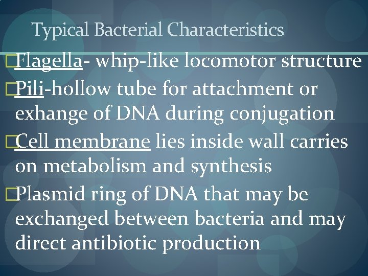 Typical Bacterial Characteristics �Flagella- whip-like locomotor structure �Pili-hollow tube for attachment or exhange of Typical Bacterial Characteristics �Flagella- whip-like locomotor structure �Pili-hollow tube for attachment or exhange of
