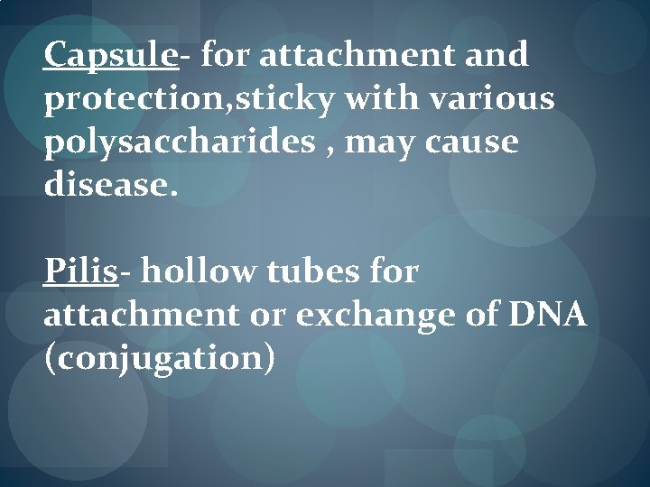 Capsule- for attachment and protection, sticky with various polysaccharides , may cause disease. Pilis- Capsule- for attachment and protection, sticky with various polysaccharides , may cause disease. Pilis-