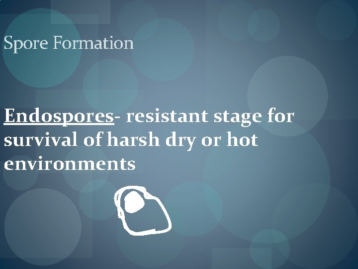 Spore Formation Endospores- resistant stage for survival of harsh dry or hot environments Spore Formation Endospores- resistant stage for survival of harsh dry or hot environments