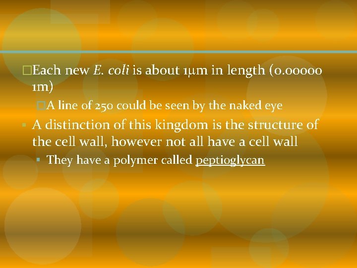 �Each new E. coli is about 1 m in length (0. 00000 1 m) �Each new E. coli is about 1 m in length (0. 00000 1 m)
