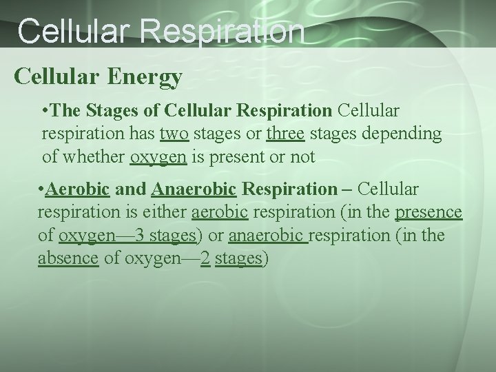 Cellular Respiration Cellular Energy • The Stages of Cellular Respiration Cellular respiration has two