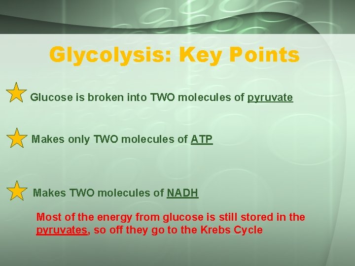 Glycolysis: Key Points Glucose is broken into TWO molecules of pyruvate Makes only TWO