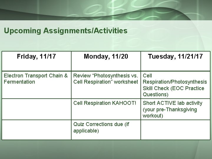 Upcoming Assignments/Activities Friday, 11/17 Electron Transport Chain & Fermentation Monday, 11/20 Tuesday, 11/21/17 Review