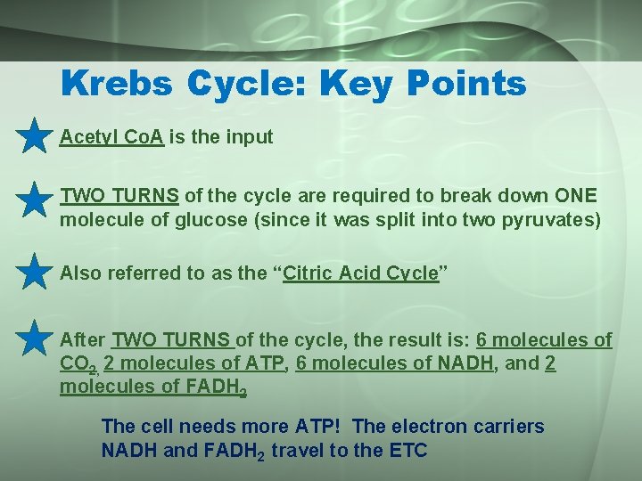 Krebs Cycle: Key Points Acetyl Co. A is the input TWO TURNS of the