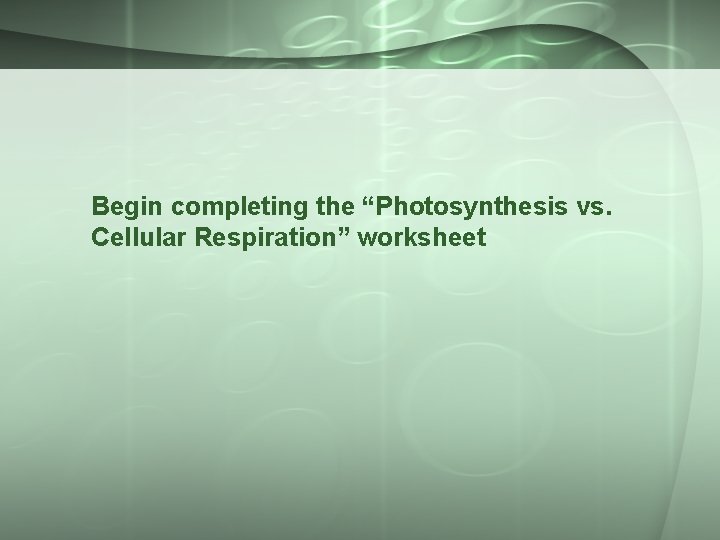 Begin completing the “Photosynthesis vs. Cellular Respiration” worksheet 