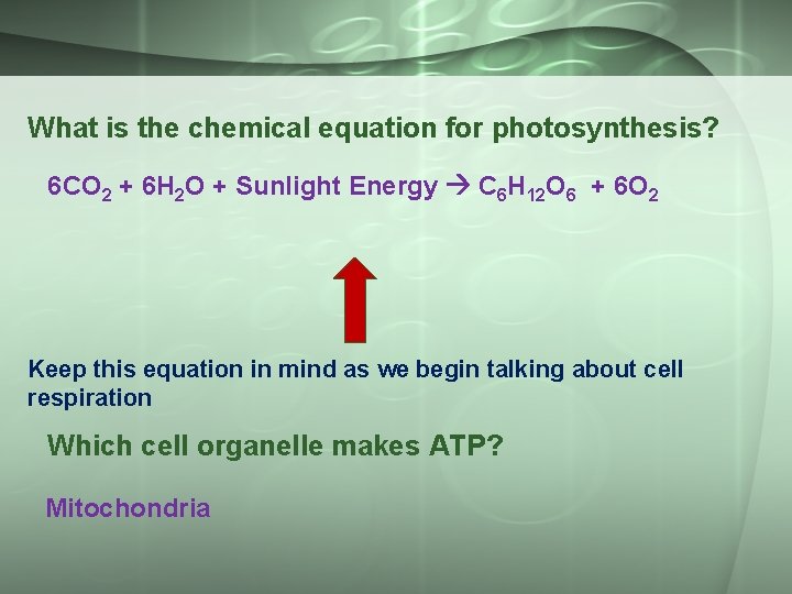 What is the chemical equation for photosynthesis? 6 CO 2 + 6 H 2