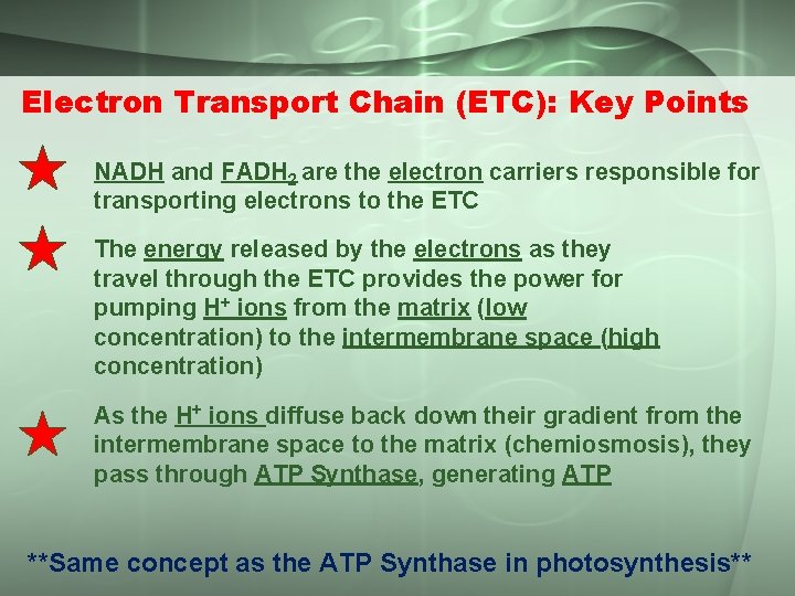 Electron Transport Chain (ETC): Key Points NADH and FADH 2 are the electron carriers