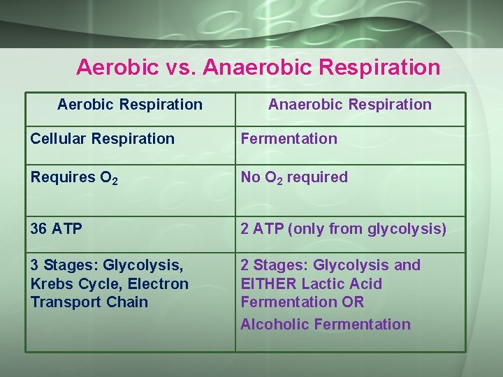 Aerobic vs. Anaerobic Respiration Cellular Respiration Fermentation Requires O 2 No O 2 required
