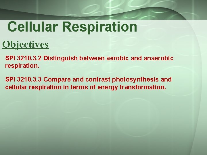 Cellular Respiration Objectives SPI 3210. 3. 2 Distinguish between aerobic and anaerobic respiration. SPI