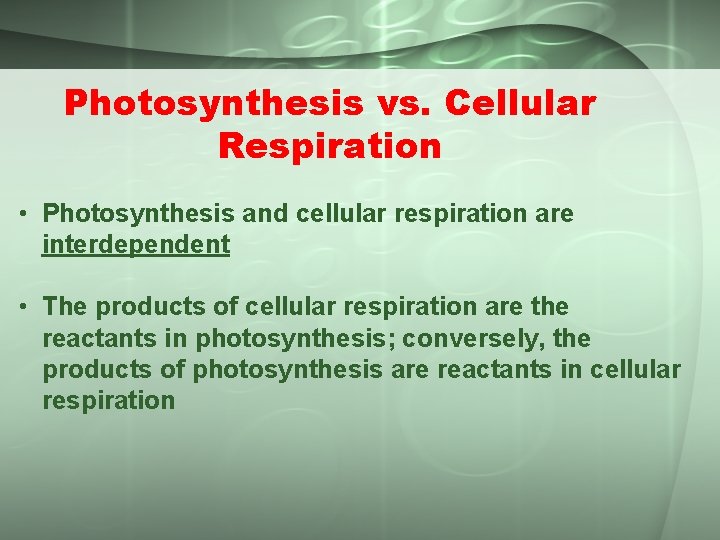 Photosynthesis vs. Cellular Respiration • Photosynthesis and cellular respiration are interdependent • The products