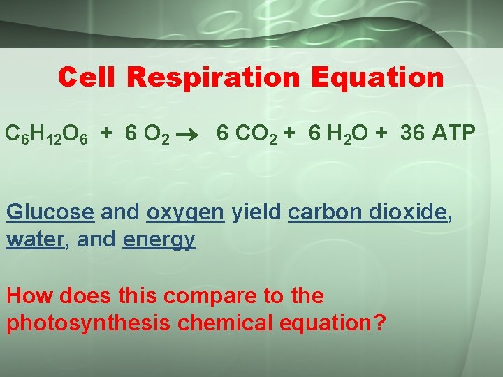 Cell Respiration Equation C 6 H 12 O 6 + 6 O 2 6