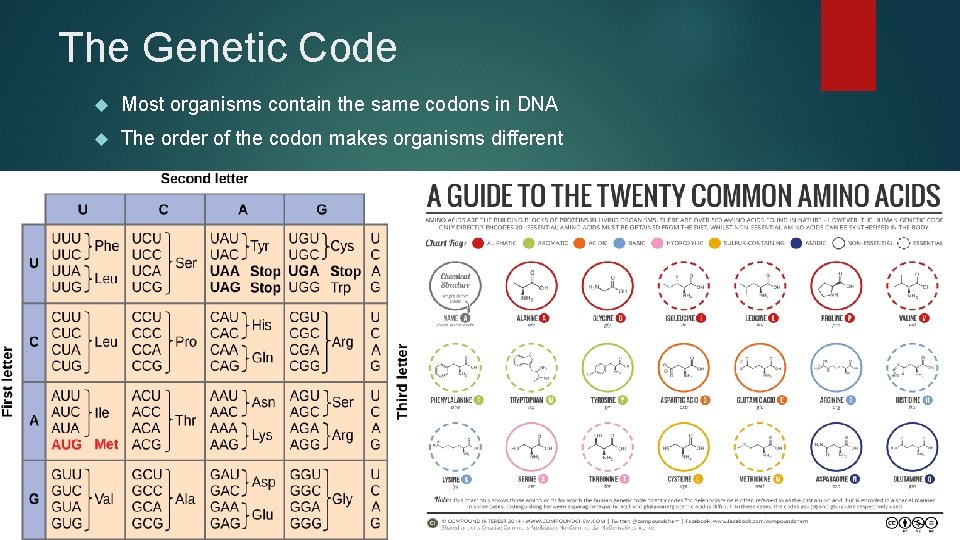 The Genetic Code Most organisms contain the same codons in DNA The order of The Genetic Code Most organisms contain the same codons in DNA The order of