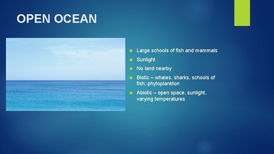 OPEN OCEAN Add picture Large schools of fish and mammals Sunlight No land nearby