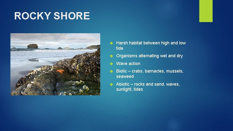 ROCKY SHORE Add Pictures Harsh habitat between high and low tide Organisms alternating wet