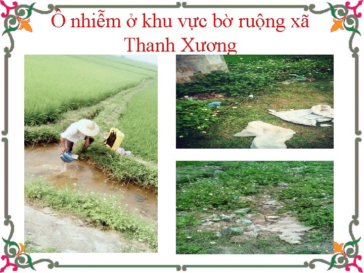 Ô nhiễm ở khu vực bờ ruộng xã Thanh Xương 