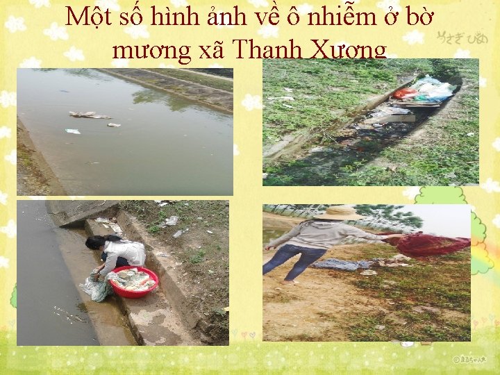Một số hình ảnh về ô nhiễm ở bờ mương xã Thanh Xương 