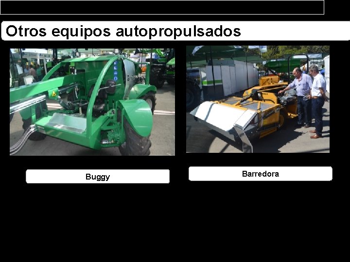 Otros equipos autopropulsados Buggy Barredora 