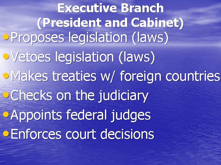 Executive Branch (President and Cabinet) • Proposes legislation (laws) • Vetoes legislation (laws) •
