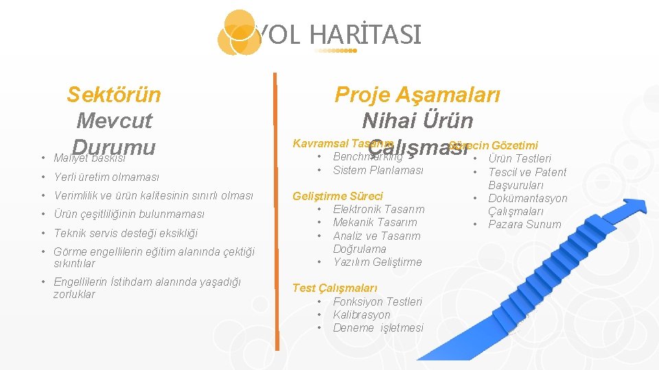 YOL HARİTASI • Sektörün Mevcut Durumu Maliyet baskısı • Yerli üretim olmaması • Verimlilik