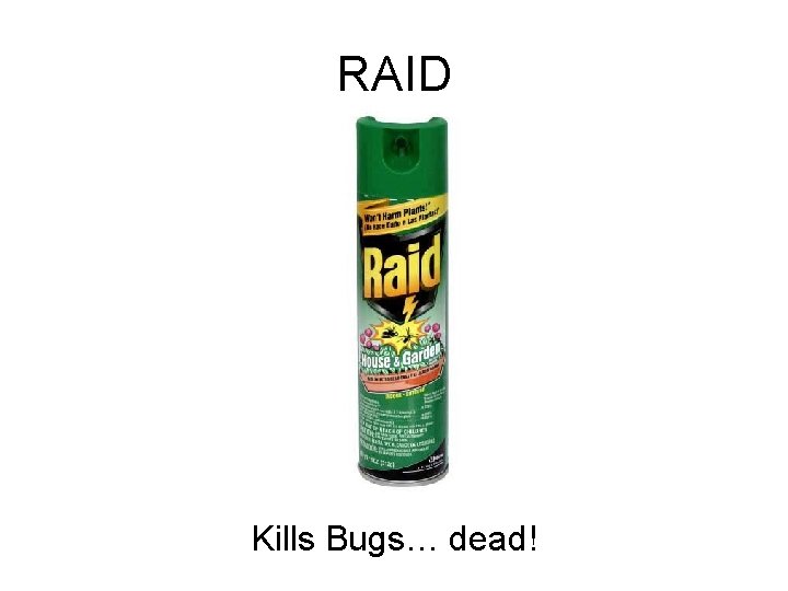 RAID Kills Bugs… dead! 