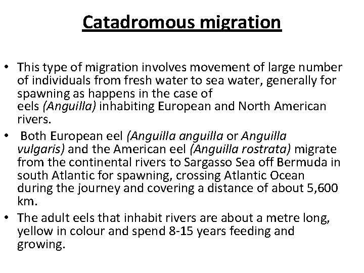 Catadromous migration • This type of migration involves movement of large number of individuals
