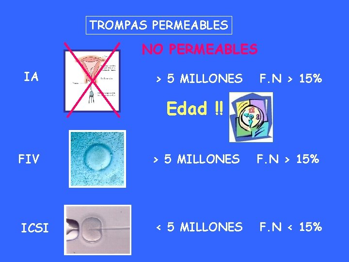 TROMPAS PERMEABLES NO PERMEABLES IA > 5 MILLONES F. N > 15% Edad !!